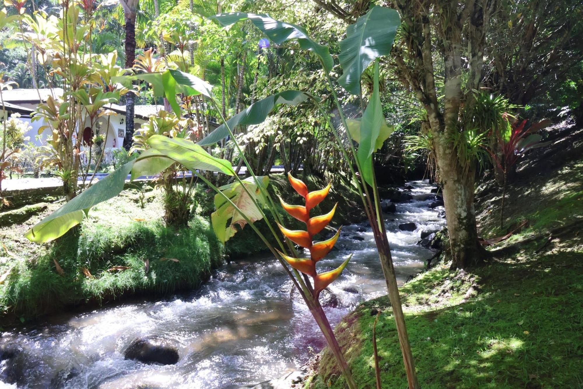 Rio Perlas Thermal Resort & Spa カルタゴ エクステリア 写真